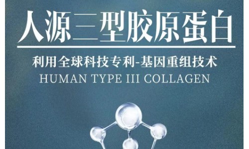 人源化III型胶原蛋白，重组护肤领域新格局